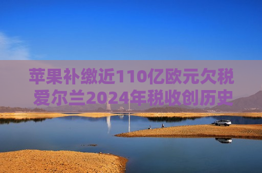苹果补缴近110亿欧元欠税 爱尔兰2024年税收创历史新高