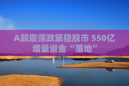 A股震荡政策稳股市 550亿增量资金“落地”