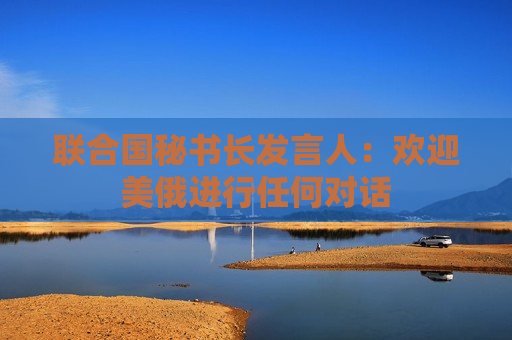 联合国秘书长发言人：欢迎美俄进行任何对话