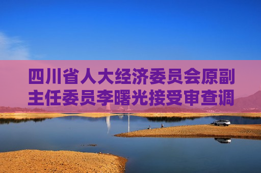 四川省人大经济委员会原副主任委员李曙光接受审查调查