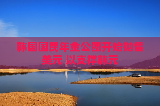 韩国国民年金公团开始抛售美元 以支撑韩元