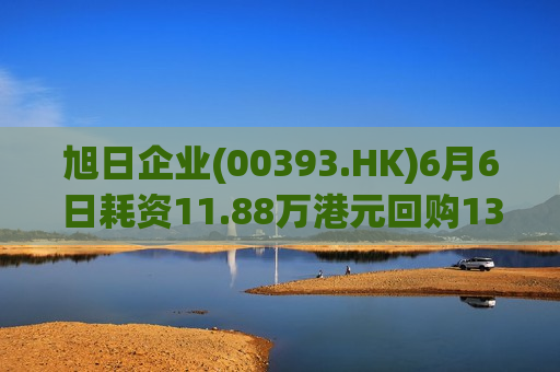 旭日企业(00393.HK)6月6日耗资11.88万港元回购13.2万股