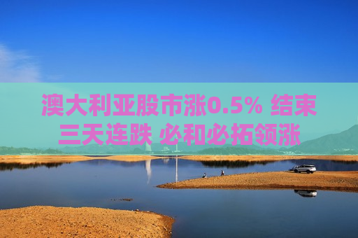 澳大利亚股市涨0.5% 结束三天连跌 必和必拓领涨  第1张