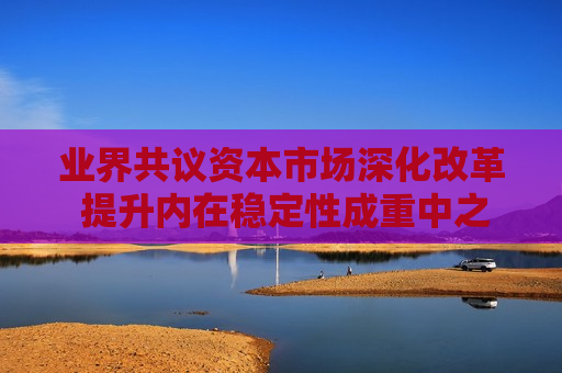 业界共议资本市场深化改革 提升内在稳定性成重中之重  第1张
