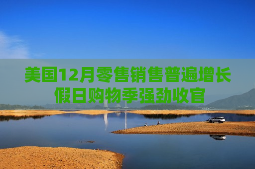 美国12月零售销售普遍增长 假日购物季强劲收官