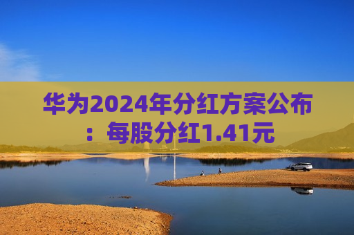 华为2024年分红方案公布：每股分红1.41元