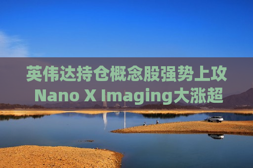 英伟达持仓概念股强势上攻 Nano X Imaging大涨超21%