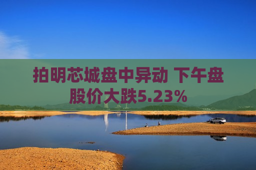 拍明芯城盘中异动 下午盘股价大跌5.23%