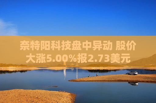奈特阳科技盘中异动 股价大涨5.00%报2.73美元