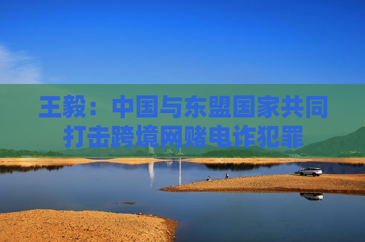 王毅：中国与东盟国家共同打击跨境网赌电诈犯罪
