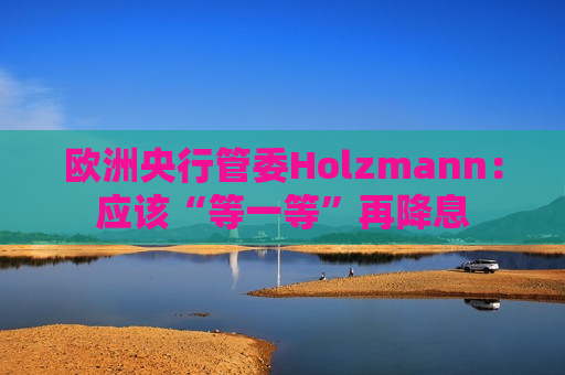欧洲央行管委Holzmann：应该“等一等”再降息