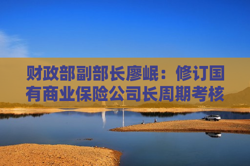 财政部副部长廖岷：修订国有商业保险公司长周期考核制度