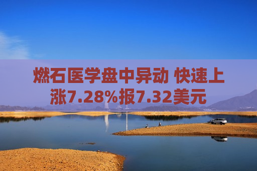 燃石医学盘中异动 快速上涨7.28%报7.32美元