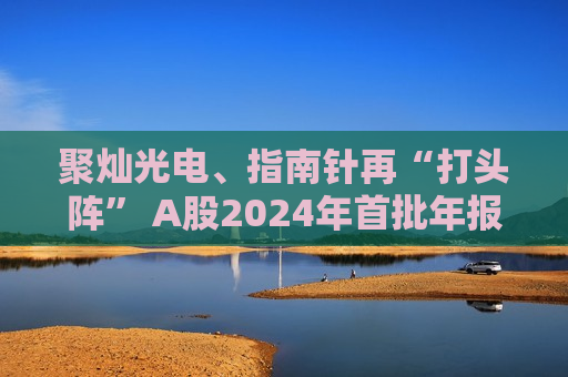 聚灿光电、指南针再“打头阵” A股2024年首批年报亮相