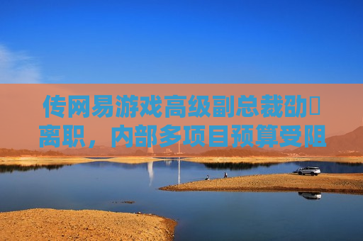 传网易游戏高级副总裁劭赟离职，内部多项目预算受阻  第1张