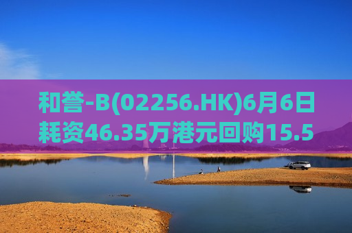 和誉-B(02256.HK)6月6日耗资46.35万港元回购15.5万股  第1张