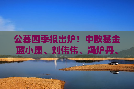 公募四季报出炉！中欧基金蓝小康、刘伟伟、冯炉丹、钱亚婷操作及观点来了
