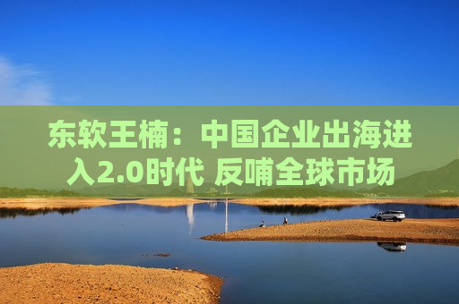 东软王楠：中国企业出海进入2.0时代 反哺全球市场