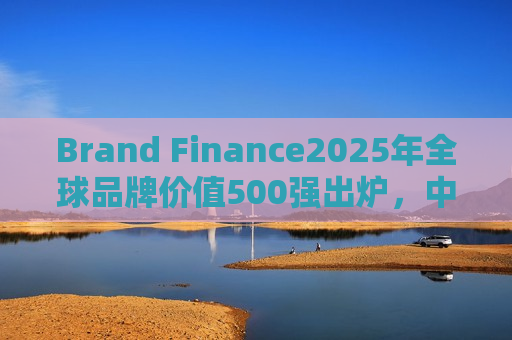 Brand Finance2025年全球品牌价值500强出炉，中国电力排名下降73位