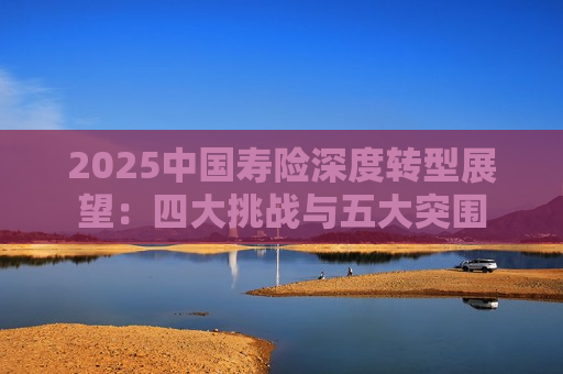 2025中国寿险深度转型展望：四大挑战与五大突围