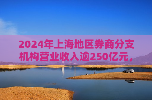 2024年上海地区券商分支机构营业收入逾250亿元，同比上升2.6%  第1张