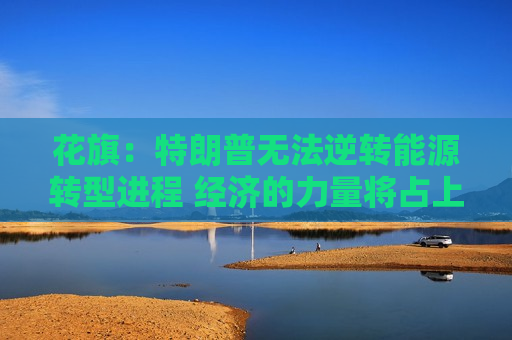 花旗：特朗普无法逆转能源转型进程 经济的力量将占上风  第1张