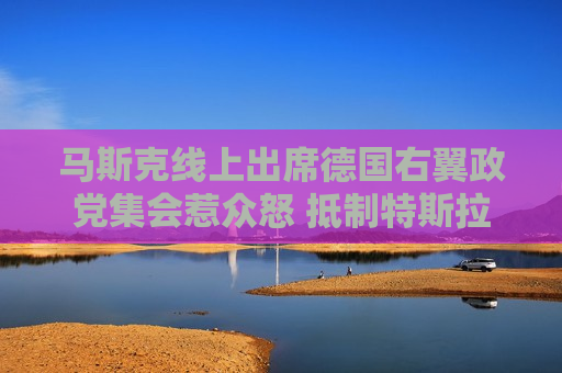 马斯克线上出席德国右翼政党 *** 惹众怒  *** 特斯拉汽车的呼声渐涨
