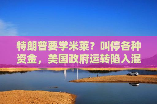 特朗普要学米莱？叫停各种资金，美国 *** 运转陷入混乱