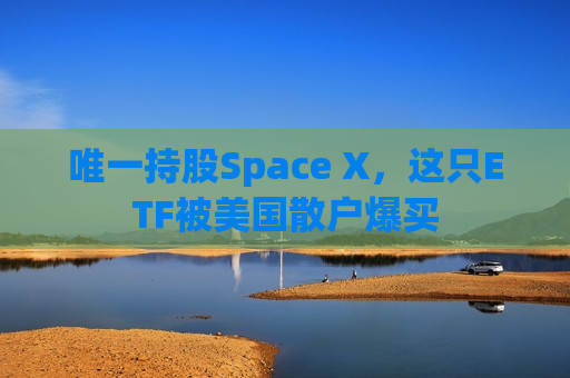 唯一持股Space X，这只ETF被美国散户爆买