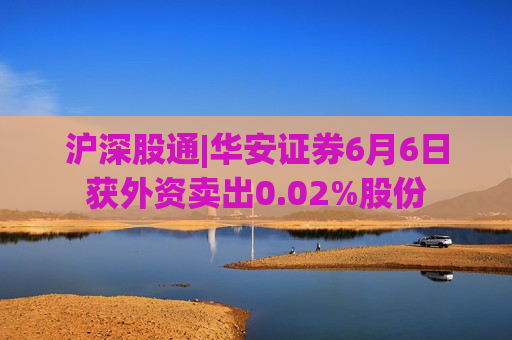 沪深股通|华安证券6月6日获外资卖出0.02%股份