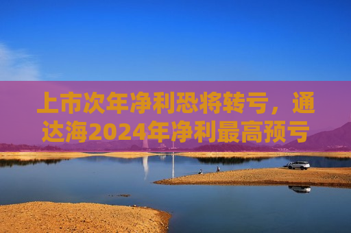 上市次年净利恐将转亏，通达海2024年净利更高预亏6500万元
