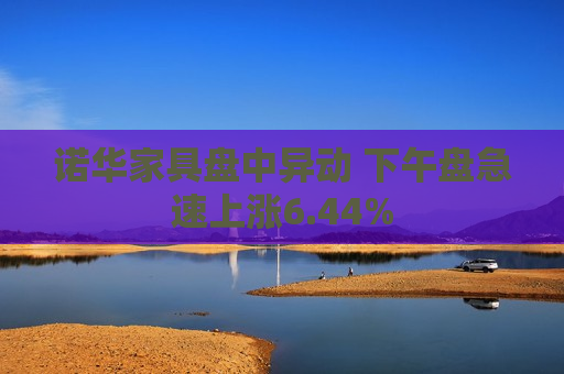 诺华家具盘中异动 下午盘急速上涨6.44%  第1张