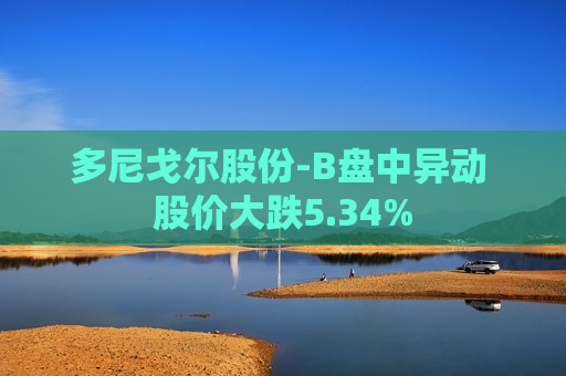 多尼戈尔股份-B盘中异动 股价大跌5.34%  第1张