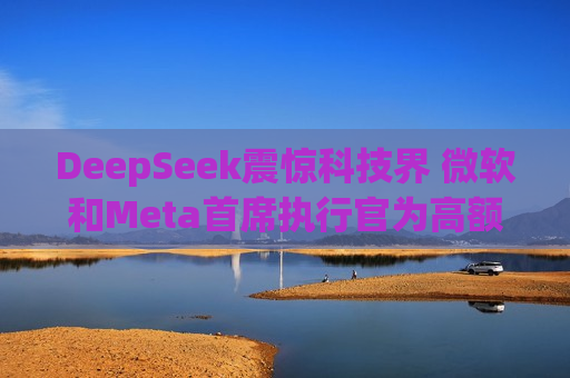 DeepSeek震惊科技界 微软和Meta首席执行官为高额人工智能支出辩护  第1张