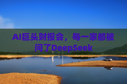 AI巨头财报会，每一家都被问了DeepSeek