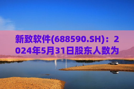 新致软件(688590.SH)：2024年5月31日股东人数为9092户  第1张