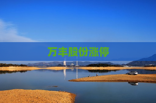 万丰股份涨停  第1张