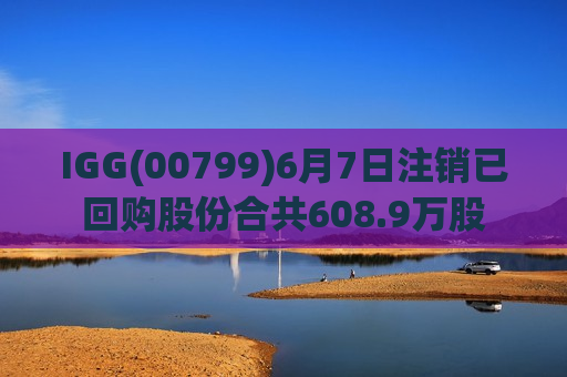 IGG(00799)6月7日注销已回购股份合共608.9万股