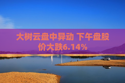 大树云盘中异动 下午盘股价大跌6.14%