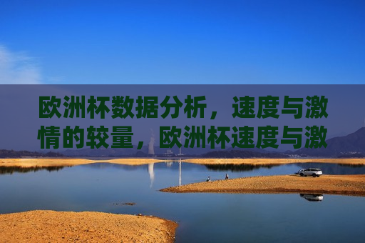 欧洲杯数据分析，速度与 *** 的较量，欧洲杯速度与 *** ，数据分析揭秘赛场较量大揭秘，欧洲杯速度与 *** ，赛场较量的数据分析大揭秘