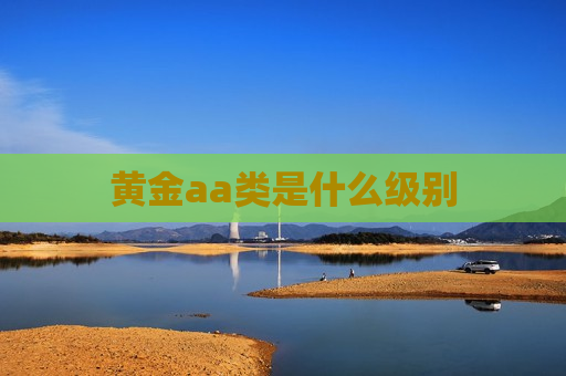 黄金aa类是什么级别