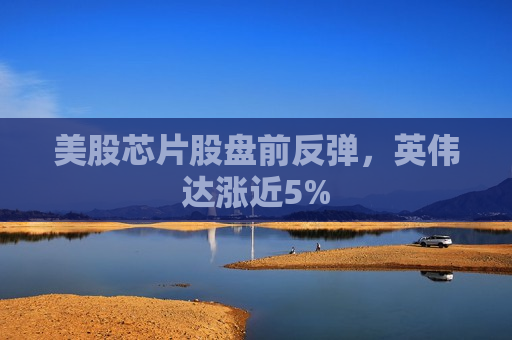 美股芯片股盘前反弹，英伟达涨近5%