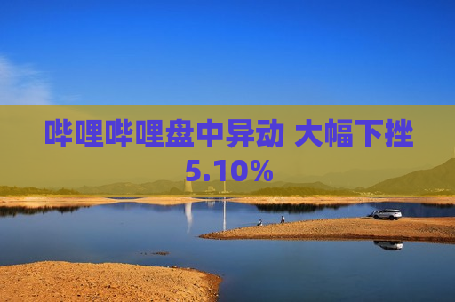 哔哩哔哩盘中异动 大幅下挫5.10%  第1张
