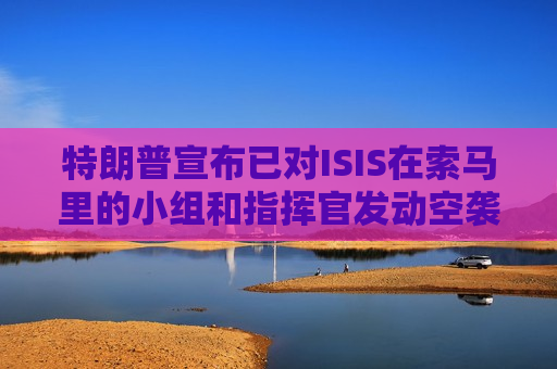 特朗普宣布已对ISIS在索马里的小组和指挥官发动空袭