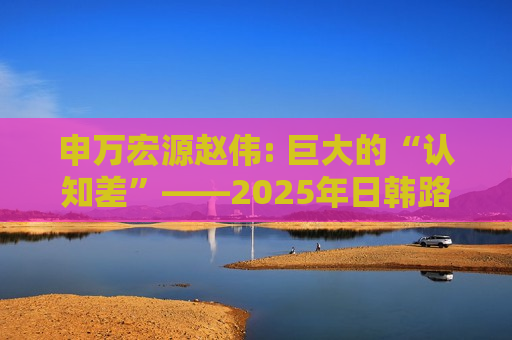 申万宏源赵伟: 巨大的“认知差”——2025年日韩路演感受