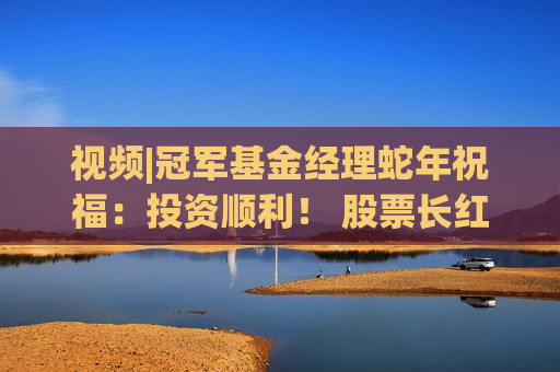 视频|冠军基金经理蛇年祝福：投资顺利！ 股票长红！