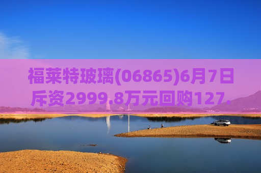 福莱特玻璃(06865)6月7日斥资2999.8万元回购127.43万股A股