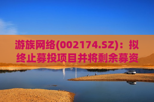 游族 *** (002174.SZ)：拟终止募投项目并将剩余募资永久补充流动资金