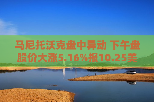 马尼托沃克盘中异动 下午盘股价大涨5.16%报10.25美元