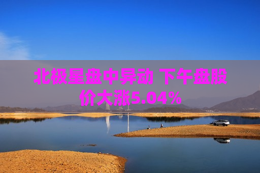 北极星盘中异动 下午盘股价大涨5.04%  第1张